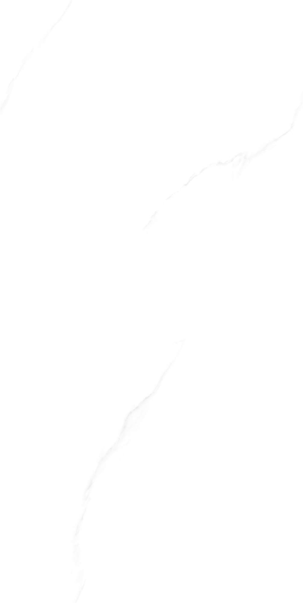 48581