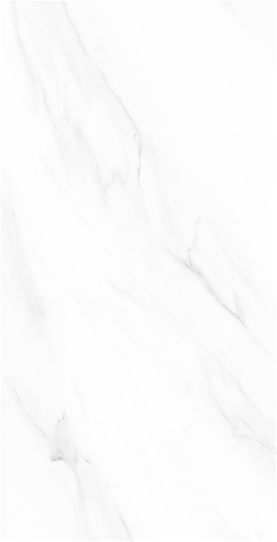 61FD041