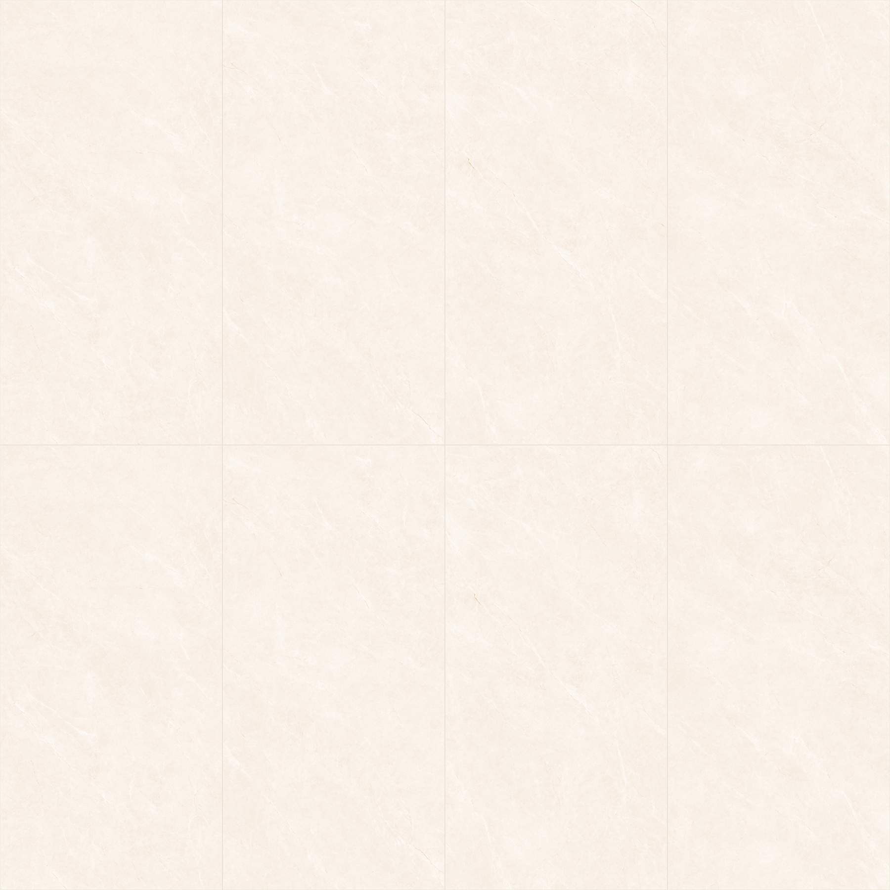 2626.jpg