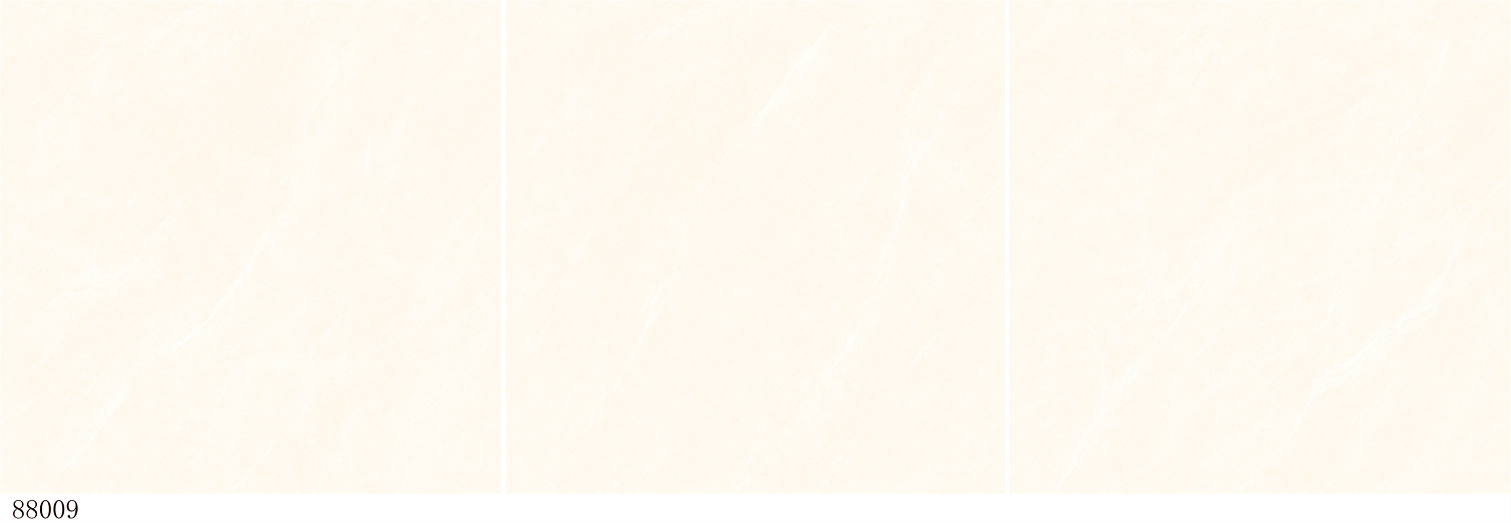 88009.jpg